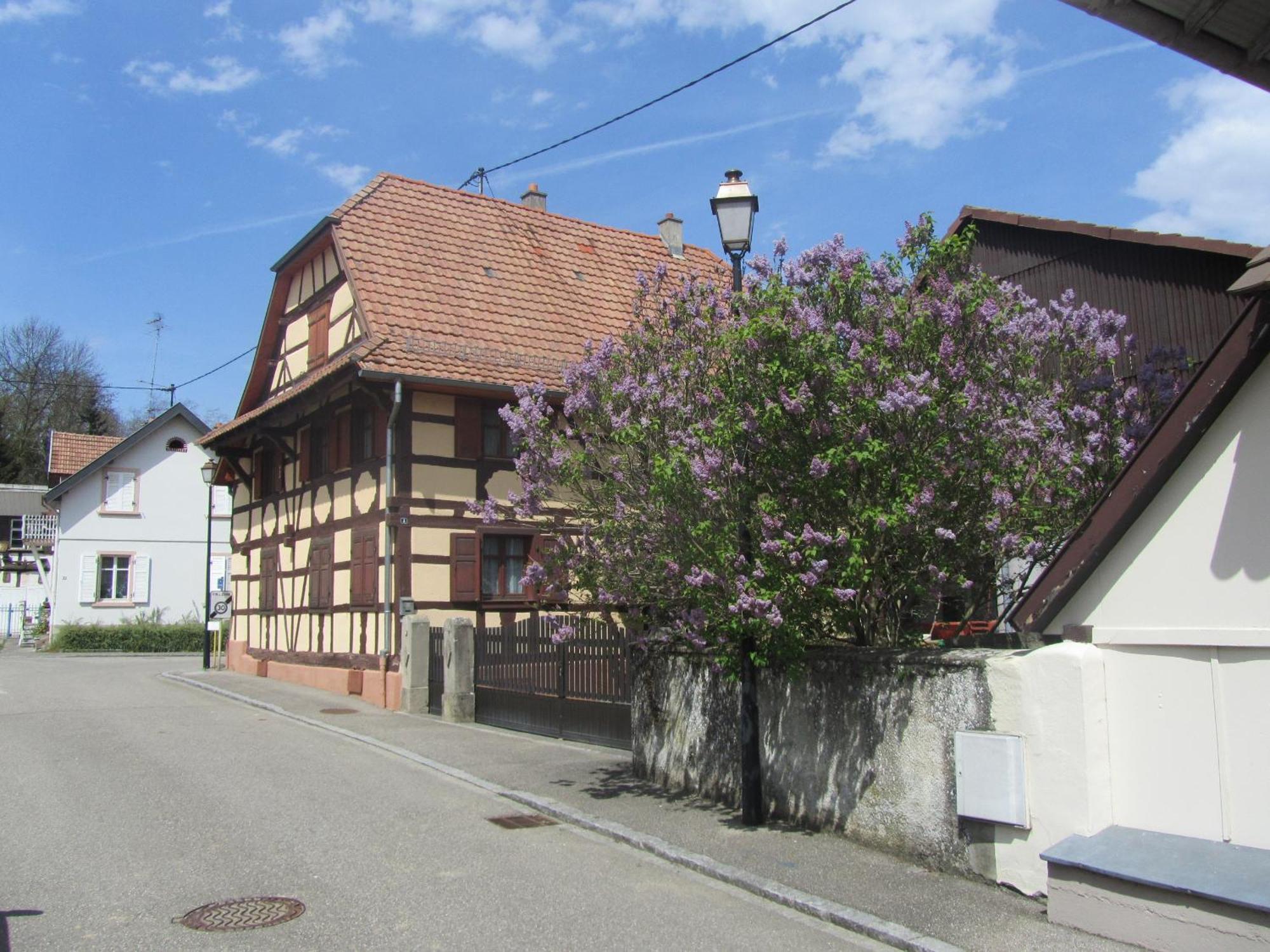 Logis Hotel Restaurant Au Lion Rouge Bartenheim Luaran gambar